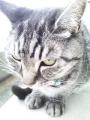 20101022150112.jpg