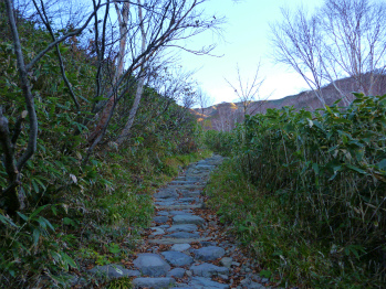 白山 秋散歩♪
