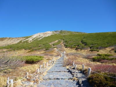 白山 秋散歩♪