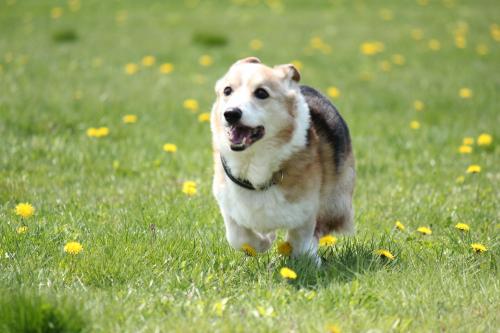 29_original_convert_20120523152651.jpg