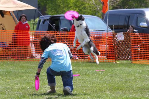 FDS+1st+003_convert_20120514231518.jpg