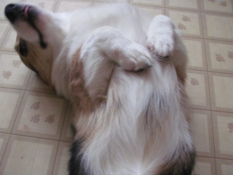 001_2014021515114301f.jpg