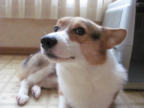 002_20140215151145352.jpg