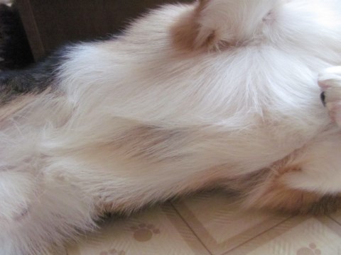 003_20140215151148b97.jpg