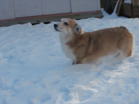 004_201402041614253e9.jpg