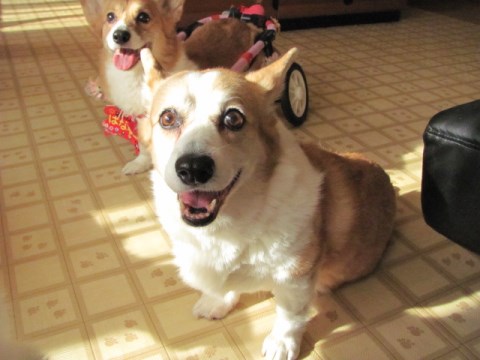 005_201402021150441c1.jpg