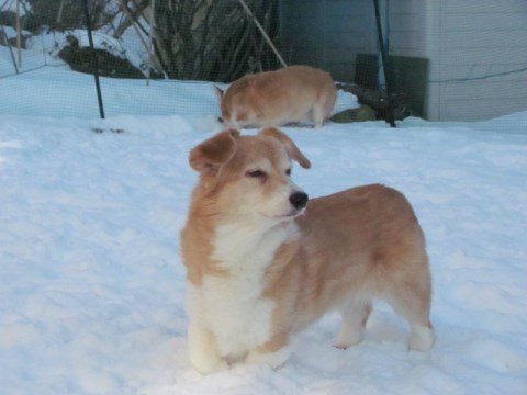 011_20140204161430ae2.jpg