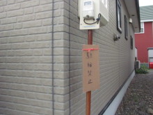 $十勝のコーギーハナファミリー