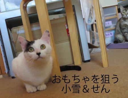仲良し姉妹