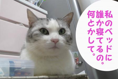 ありすの悩み