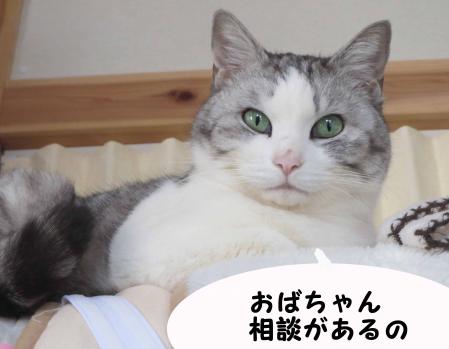 相談しよう、そうしよう