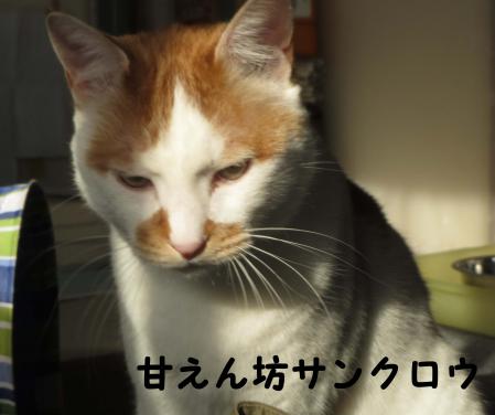 サンクロウ君