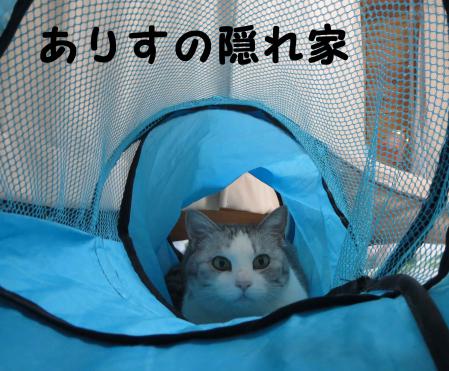 ありすの隠れ家