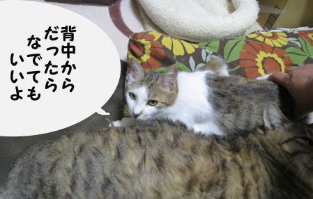 春甘える