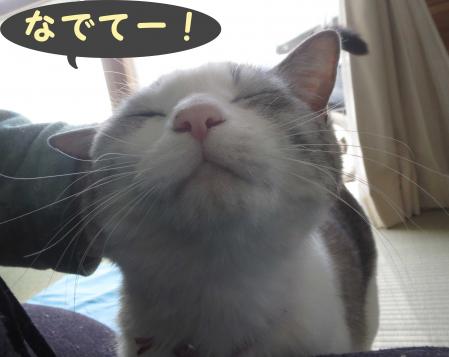 甘えて