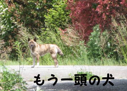 もう一頭