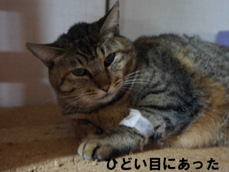 退院した