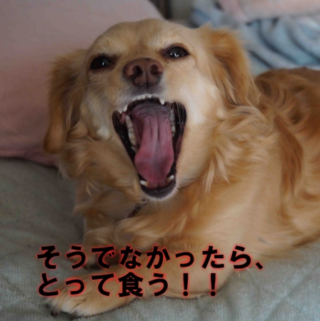 食われる