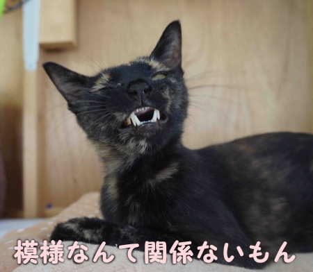 まゆは気にしないもんね