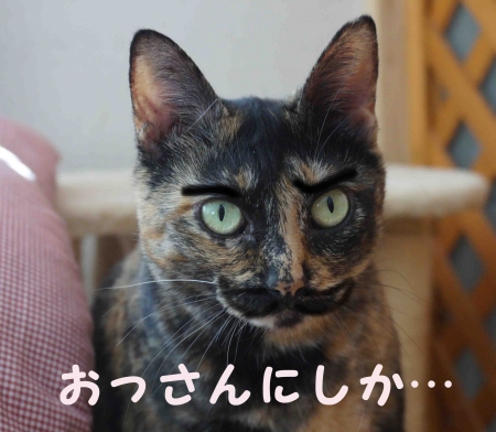 おっサビカ