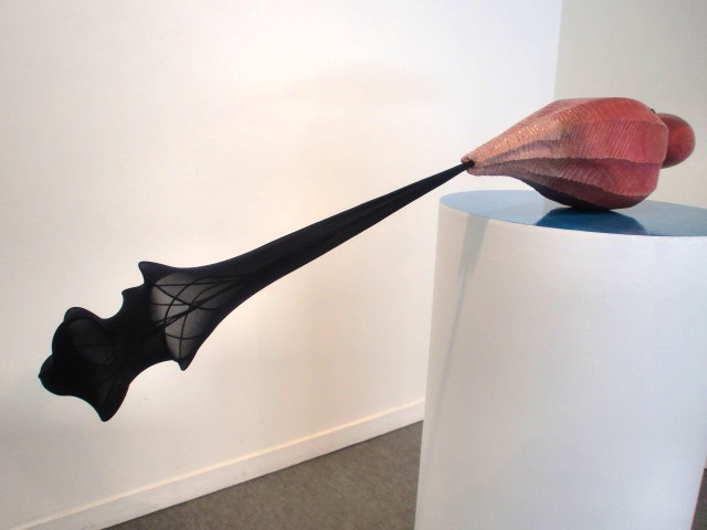 CIMG0237.jpg