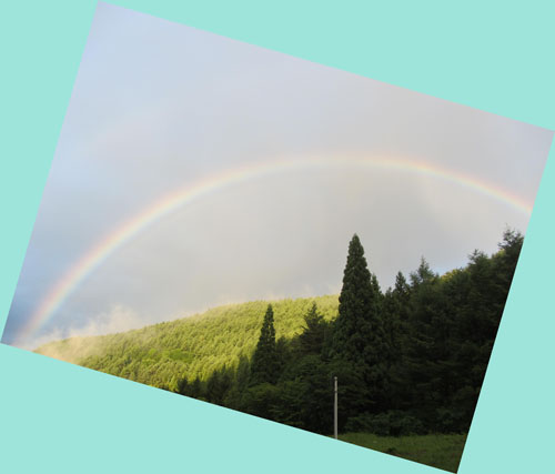 虹