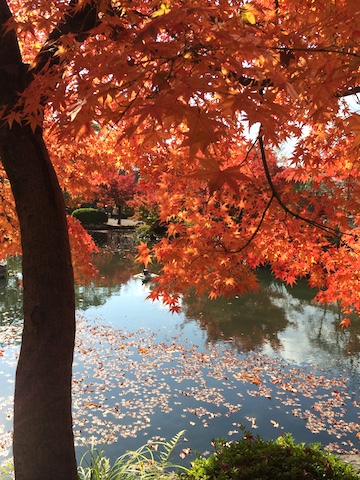 京都1