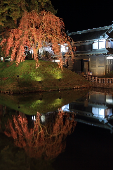 2011_01_27171.jpg