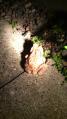 2012052121230000.jpg
