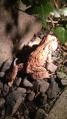 2012052121240000.jpg