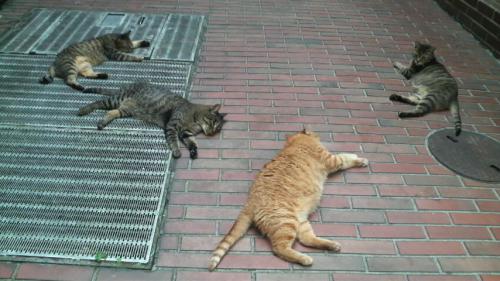 2012081717320001.jpg
