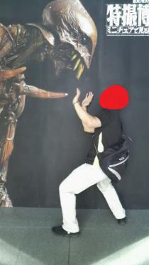 ⑪巨神兵vsかなぶん