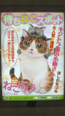 2012083010180001.jpg