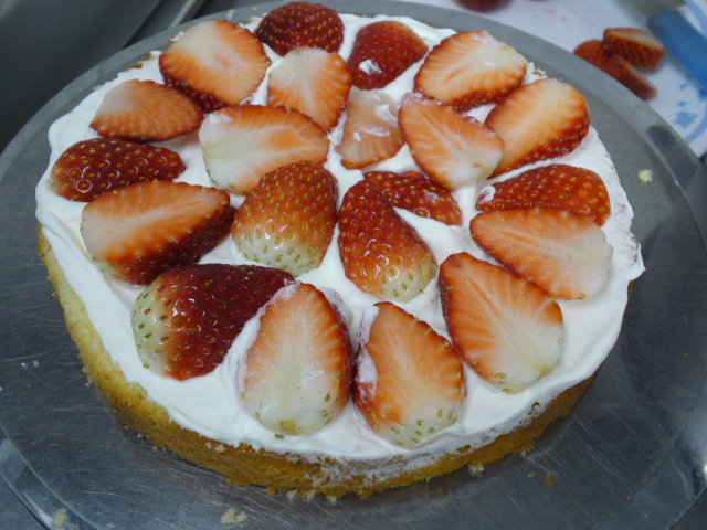 mini_111202_1335.jpg