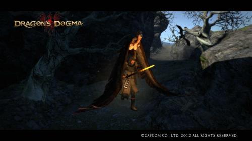 Dragons Dogma Screen Shot _3