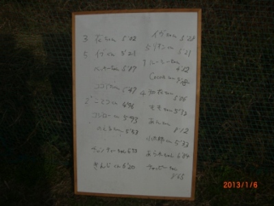 CIMG1713.jpg