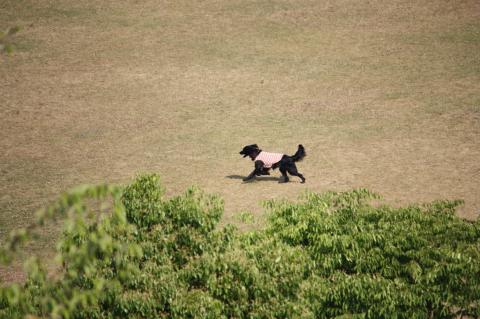 pict-IMG_2516.jpg