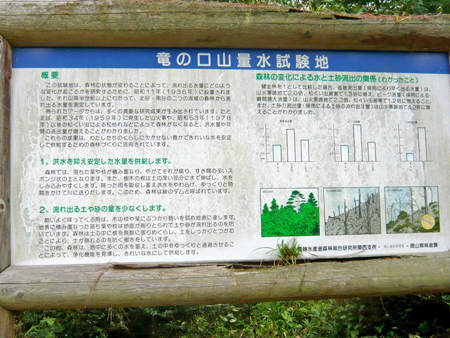 1035.jpg