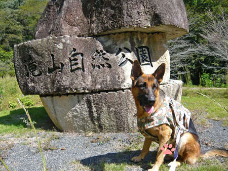1065.jpg