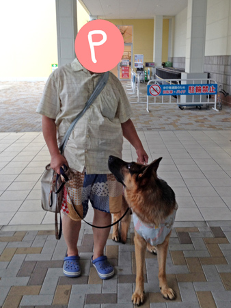 871.jpg