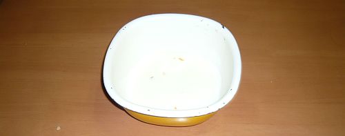 P1050005.jpg
