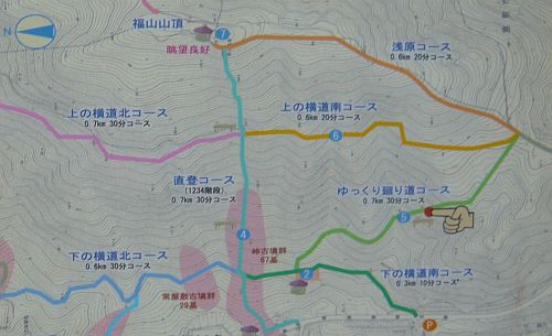 P1050132.jpg