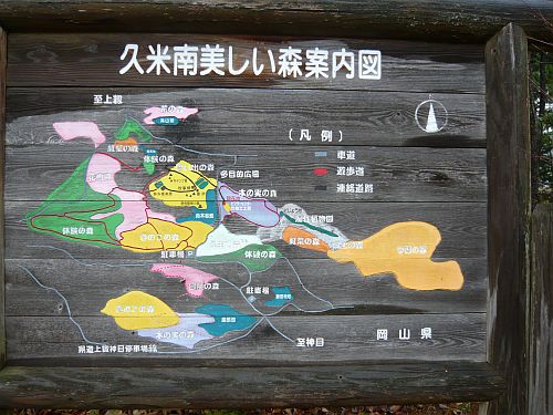 P1050155.jpg