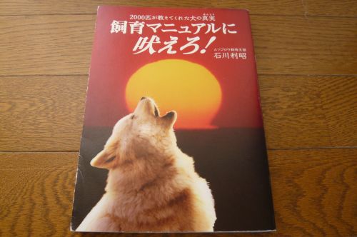 P1050259.jpg