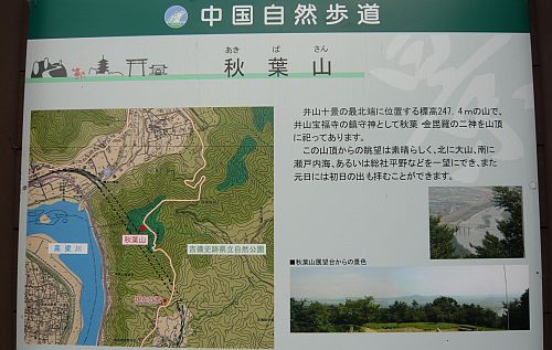 P1050317.jpg