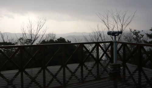 P1050335.jpg