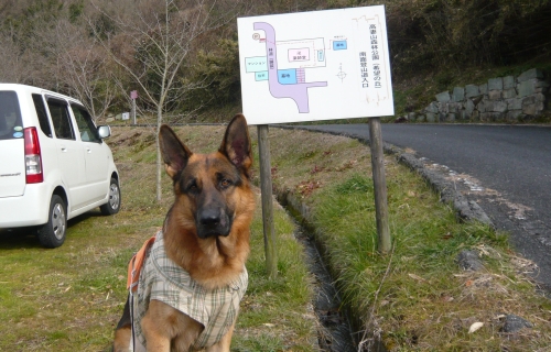 P1050342.jpg