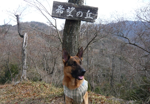 P1050364.jpg