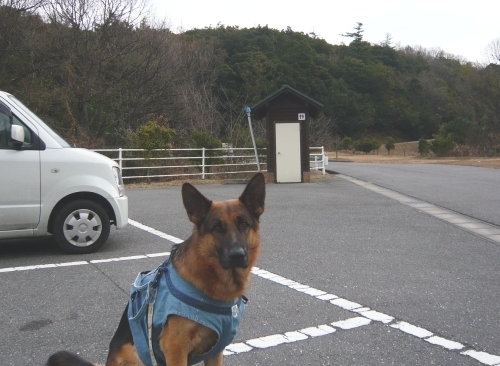 P1050375.jpg