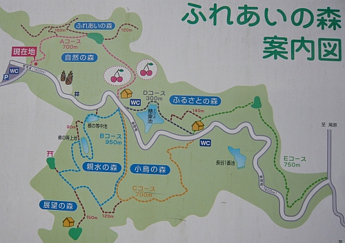 P1050376.jpg